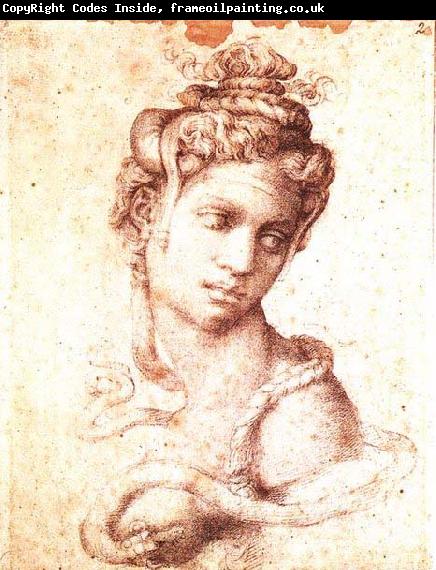 Michelangelo Buonarroti Cleopatra